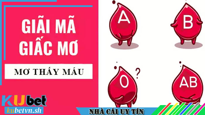 Mơ thấy máu đánh con gì tại Kubet